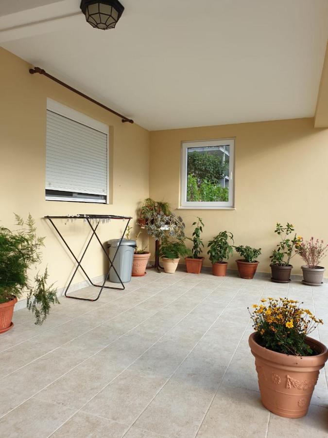 Apartment Jelena โกตอร์ ภายนอก รูปภาพ