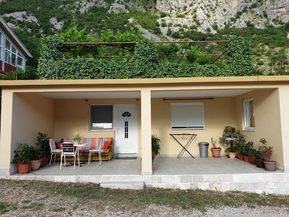 Apartment Jelena โกตอร์ ภายนอก รูปภาพ