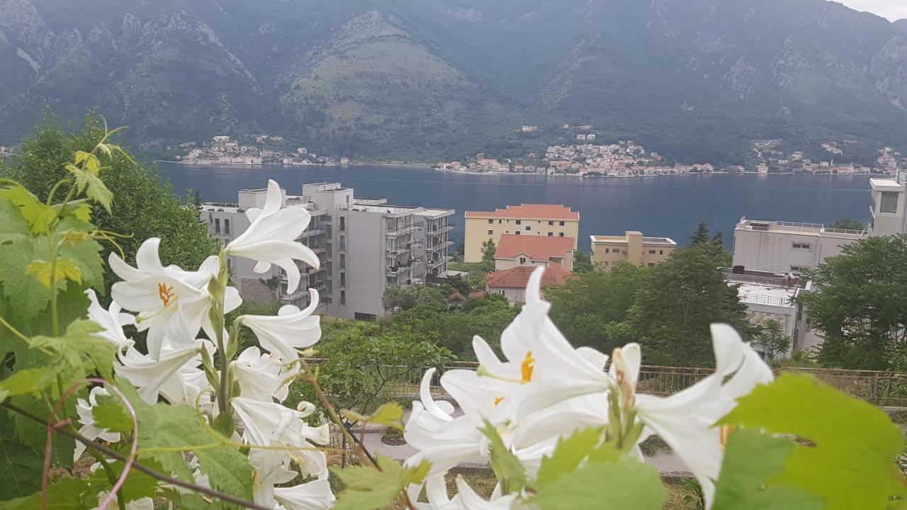 Apartment Jelena โกตอร์ ภายนอก รูปภาพ